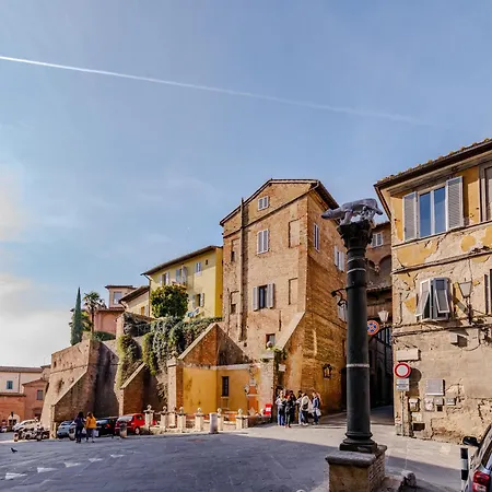 Guesthost - The Violinist's House